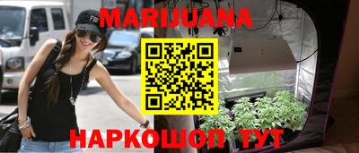 стафф Будённовск