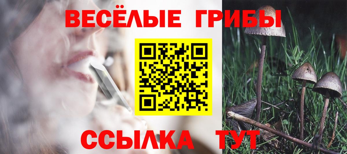 Псилоцибиновые грибы Psilocybine cubensis  Псилоцибиновые грибы Cubensis  Ставрополь  Вход с VPN 