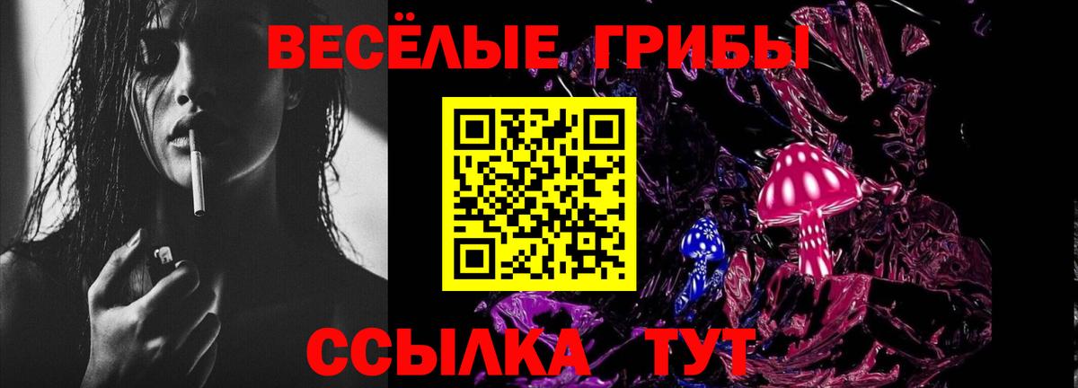 Галлюциногенные грибы Psilocybine cubensis Ставрополь